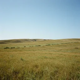 stereoscopic image of a landscape