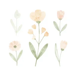 minimalist watercolor art of flowers on white background, illustration, vector art