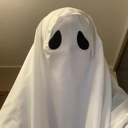 selfie taken by a ghosy