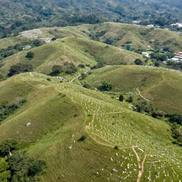 an ariel photo of a landscape full of rolling hills made of graves hong kong cemetery photorealism