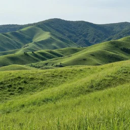 beautiful landscape, now a bunch of nonsense to see what the model does, no idea what happens when I do this, the plan is to slightly change some of these wods to see at what point the composition changes dramatically