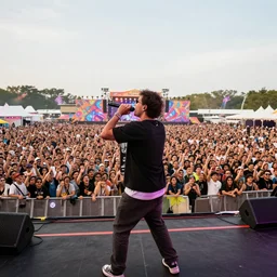 rapping on stage at festival, holding microphone, giant crowd, epic angle, happy, psychedelic, hip hop, surreal, neon, vaporwave, detailed, illustrated by Alex Grey, 4k