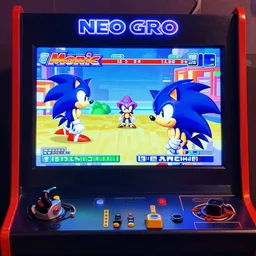 neo geo, arcade screen, sonic, game