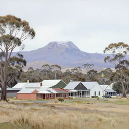 a tasmanian village, airbrush painting, pale, wide shot,