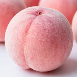 a macro photo of a round pink peach's dry hairy skin, hyper realistic, hyper detailed, 35mm, very grainy film, pink volumetric studio lighting, bokeh, award winning shot, vogue magazine, cinematic, 8k, very closeup, elegant, tender, pastel, japanese
