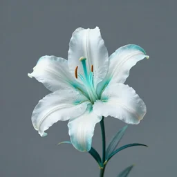 a single flower, white and aqua blue bonsai lily, cool color palette, etheral, intricate details, elegance, sophisticated, cool color palette, golden ratio, infini - d - render