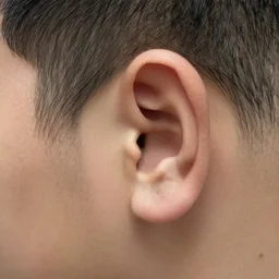 A realistc photo of a man with big ears