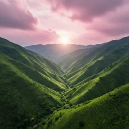Beautiful green lush valley under the pink clouds backlit by the sun