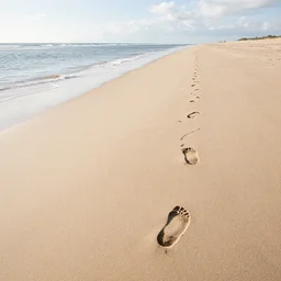 footprints in sand at the beach, gentle waves, calm light, footprint path, light sand, distant clouds, photography award, leading lines