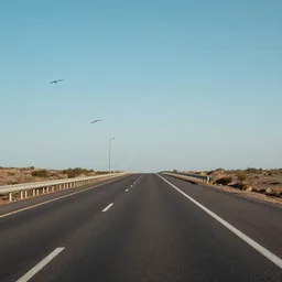 endless highway with lighpoles in the distance, bird flying in the sky