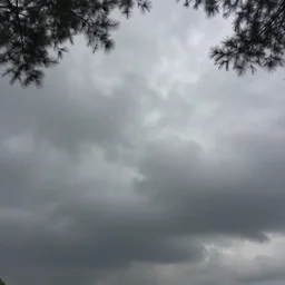 why is the sky painted gray?