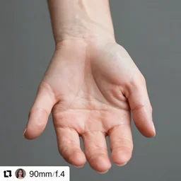 a photo of one ultra detailed feminine woman's hand with cupped palm, instagram photo, studio photo, 9 0 mm, f / 1. 4