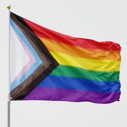pansexual flag punisher