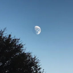 quick amateur iphone photo of the sky, but there is a second earth in the sky. WHAT?!