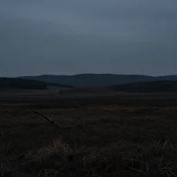very dark landscape