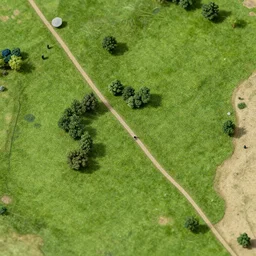 isometric, miniature photography closeup, h0, 1:87, Meadow, pathes, highly detailed, satellite image, game map, anno 1602
