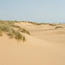 beautiful matte painting of northern sea dunes
