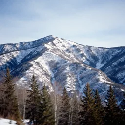 a view of a winter mountain ridgeline with trees in the foreground, a tilt shift photo by david budd, shutterstock contest winner, regionalism, photo taken with ektachrome, high dynamic range, creative commons attribution