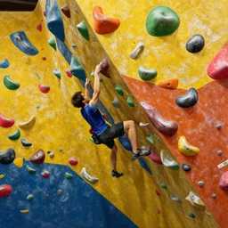 a bouldering wall, vibrant colors, high quality, 8 k, very detailed, intricate, high detail, extremely fine details, realistic shaded lighting, not cropped, extremely detailed, masterpiece, digital painting
