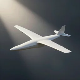 a bird with a plane for a body, photo