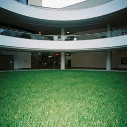 photo of an empty grassy abandoned mall, taken with flash, very grainy