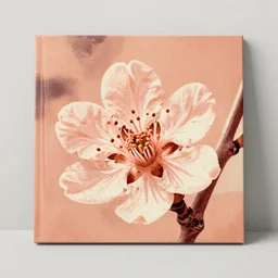 vintage color halftone album artwork large peach and one blossom illustration, nostalgic high saturation, grainy film, neutral blank light grey background