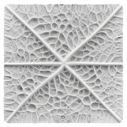 reaction diffusion pattern