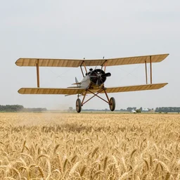 a biplane flying low over a wheat field, by eric ravilious