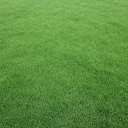 top view, overcast may weather, undersaturated faded seamless photograph, grass seamless texture photograph