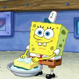 Scenes from Spongebob square pants  , inside of his house , but instead , make him a dish washing sponge