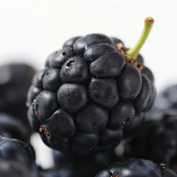 black fruit, photo, detailed, 4k