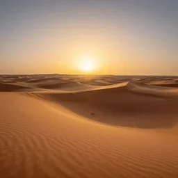 winding sunset over sahara desert rolling sand dunes