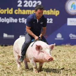 2 0 2 2 world championship pig riding