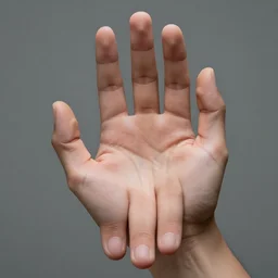 a human showing their normal human hands, highly detailed, extremely high quality, hd, 4 k, 8 k, professional photographer, 4 0 mp, lifelike, top - rated, award winning, realistic, detailed lighting, detailed shadows, sharp, no blur, edited, corrected, trending