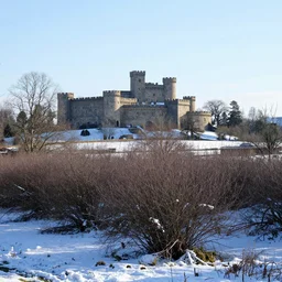 a winter landscape with shrubs and trees on a clear day, a castle is visible in the distance, in medieval style