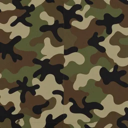 camouflage pattern