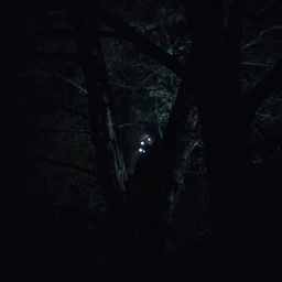 glowing eyes peeking out of a tree in the distance at night, dimly lit, lurking, photorealistic, spooky