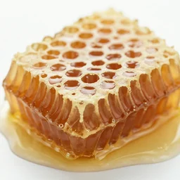 photo of { honey comb }, macro!! image