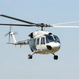a human helicopter