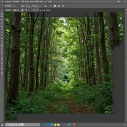 A beautiful forest scene. PROMPT, XF IQ4, 150MP, 50mm, f/1.4, ISO 200, 1/160s, natural light, Adobe Photoshop, Adobe Lightroom, DxO Photolab, Corel PaintShop Pro, rule of thirds, symmetrical balance, depth layering, polarizing filter, Sense of Depth, AI enhanced