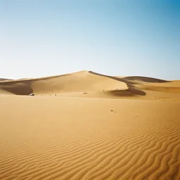 deadvlei, kodak portra,