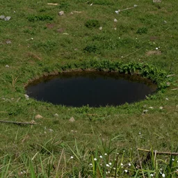 photo field with small Lake with black dark water in center reality