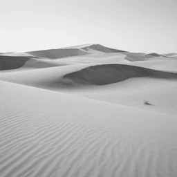 saharan desert dunes, 1 4 - 2 4 mm sigma, black and white