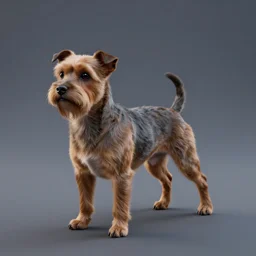 3 d model of a staffordshire terrier, octane render, raytraced