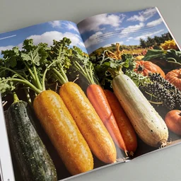 magazine quality photo shoot of beautifully displayed fall vegetables, angle view