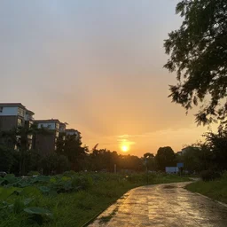 a rain moment at sunset in summer