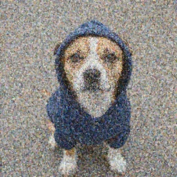 dog with a hoodie