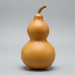 gourd amber heard as a gourd as a gourd