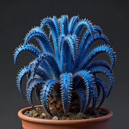 a photograph of a blue fantasy sci fi hybrid tropical desert mutant weird exotic poisonous flora plant in a pot, hyper realism, octane render, 8 k, hyper detailed, vivid, ultra detailed, highly detailed