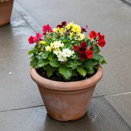 potted planter with flowers inside sitting on wet sidewalk